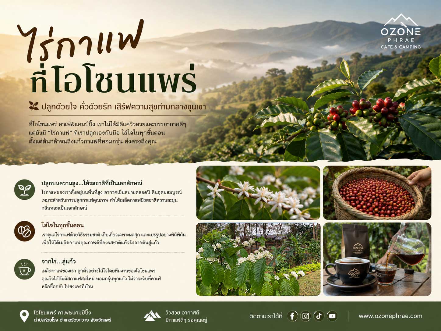 ไร่กาแฟ ที่โอโซนแพร่