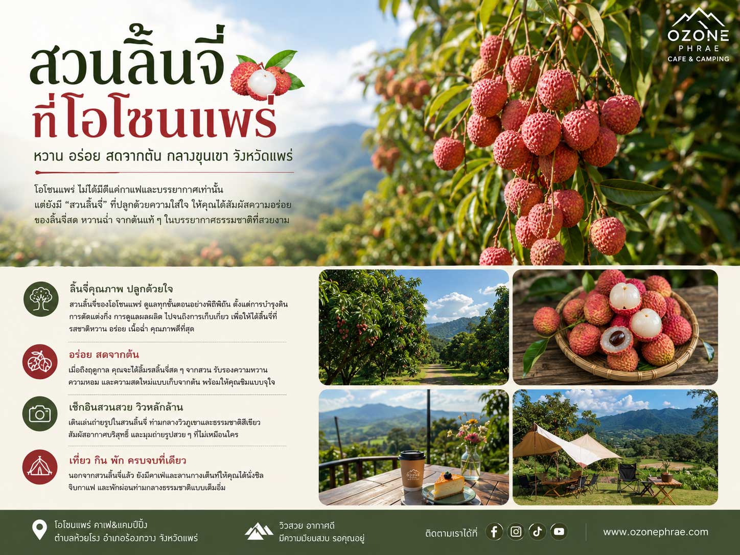 สวนลิ้นจี่ ที่โอโซนแพร่